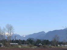 Pitt Meadows - Excellent VAQR